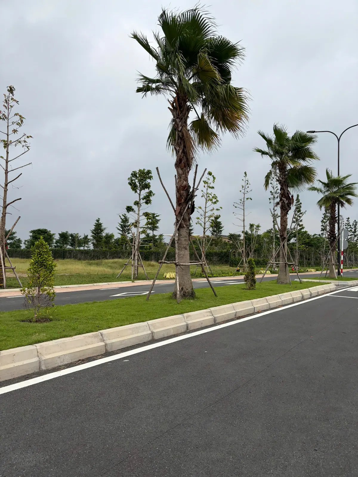 Hạ tầng đường nội khu Elyse Island tháng 8 năm 2026